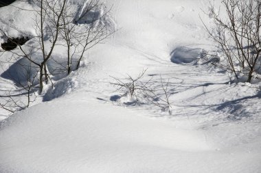 Dağlardaki orman manzarası. Ağaçlar, dallar ve buz oluşumu ayrıntıları