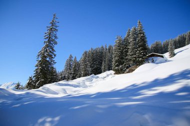 Avusturya Alplerinde kış manzarası