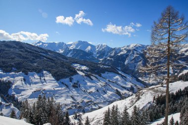 Avusturya Alplerinde kış manzarası