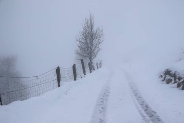 Grossarl, Avusturya 'da sisli kış manzarası