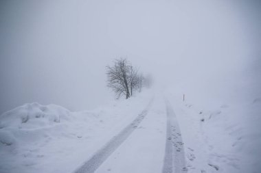 Grossarl, Avusturya 'da sisli kış manzarası