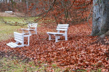 Parktaki beyaz banklar