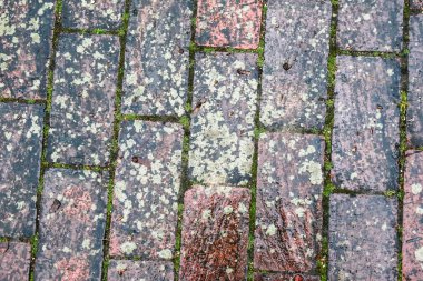 Çakıl taşı kaldırım dokusu. Tasarım için soyut arkaplan