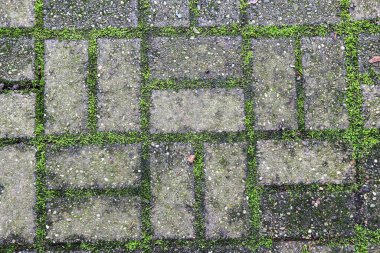 Çakıl taşı kaldırım dokusu. Tasarım için soyut arkaplan