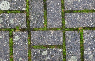 Çakıl taşı kaldırım dokusu. Tasarım için soyut arkaplan