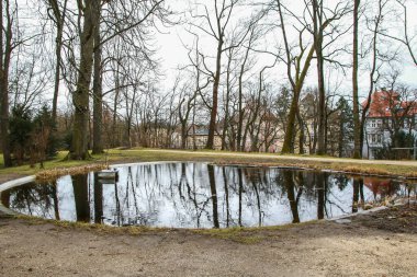 Ağaç dalları suya yansıyor