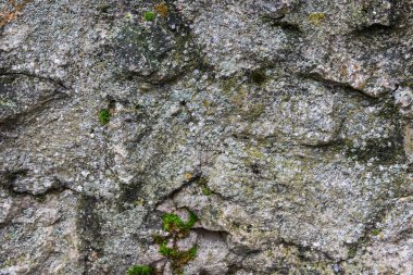 Çakıl taşı kaldırım dokusu. Tasarım için soyut arkaplan