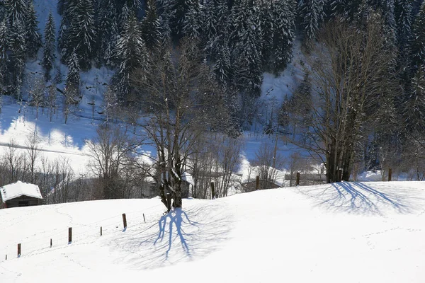 Zimní Krajina Grossarlu Rakousko — Stock fotografie