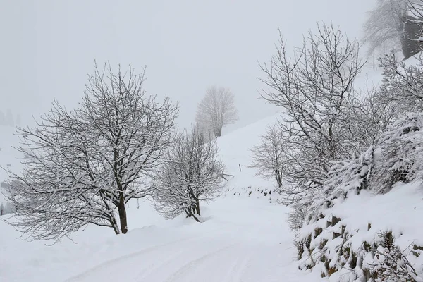 Foggy Winter Landscape Grossarl Austria — Φωτογραφία Αρχείου