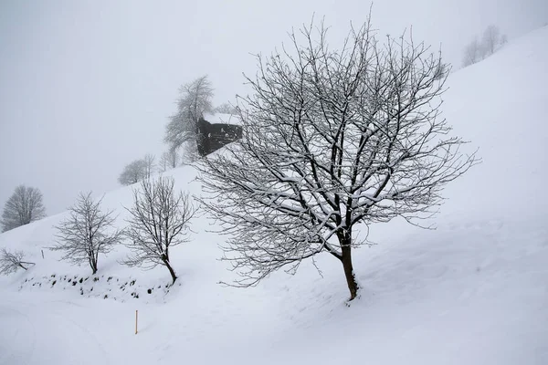 Foggy Winter Landscape Grossarl Austria — Φωτογραφία Αρχείου