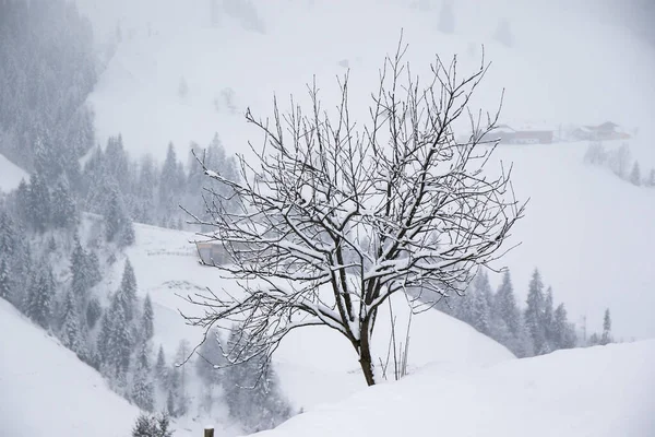 Paisaje Nublado Invierno Grossarl Austria —  Fotos de Stock