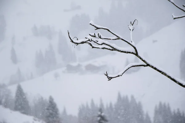 Foggy Winter Landscape Grossarl Austria — Φωτογραφία Αρχείου