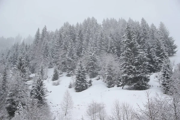 Paisagem Nebulosa Inverno Grossarl Áustria — Fotografia de Stock