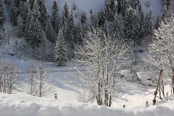 Grossarl, Austia 'da kış manzarası