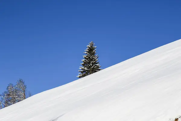 Paisagem Inverno Alpes Austríacos — Fotografia de Stock