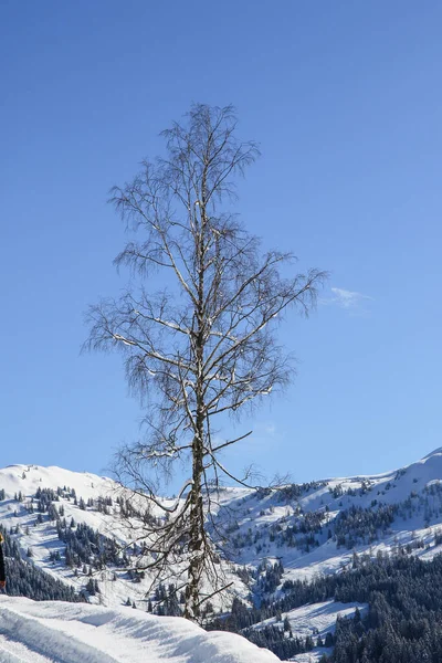 Winter Landscape Austrian Alps — Stock Photo, Image