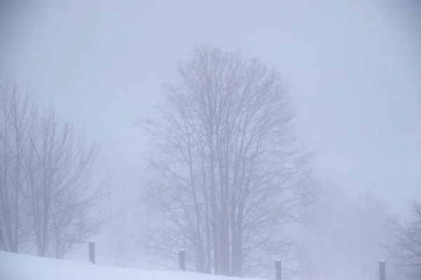 奥地利Grossarl多雾的冬季景观 — 图库照片