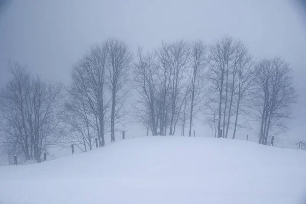 Grossarl Avusturya Sisli Kış Manzarası — Stok fotoğraf