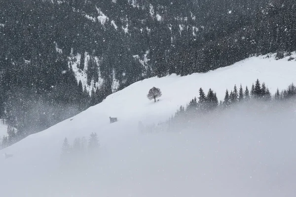 Mistig Winterlandschap Grossarl Oostenrijk — Stockfoto