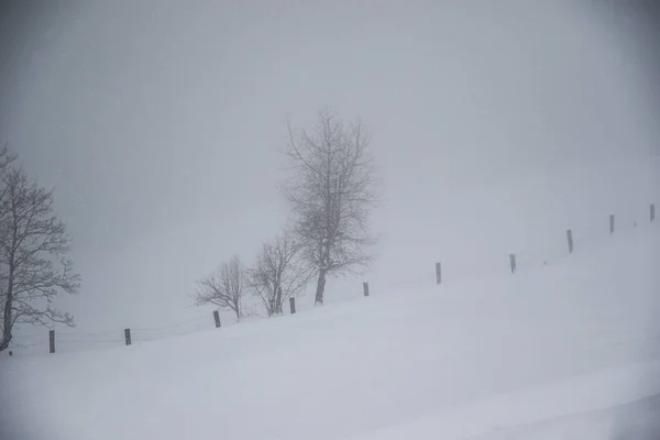 グロサール オーストリアの霧深い冬の風景 — ストック写真