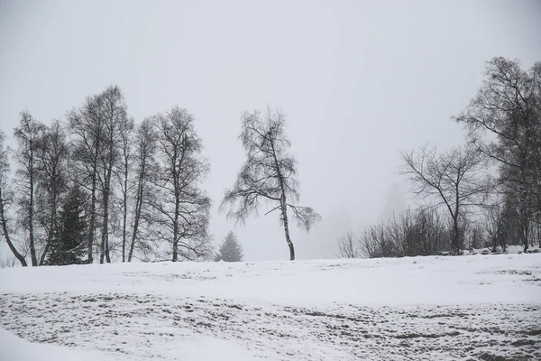 Ködös Téli Táj Grossarl Ausztria — Stock Fotó