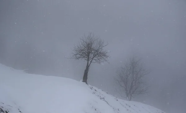 Foggy Winter Landscape Grossarl Austria — Stock Photo, Image