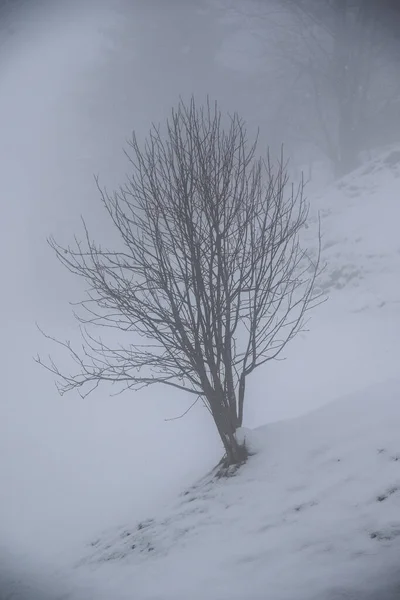 Nebelige Winterlandschaft Großarl Österreich — Stockfoto