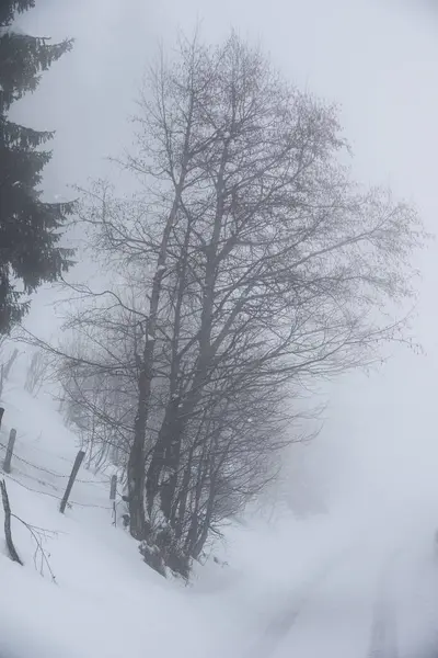 奥地利Grossarl多雾的冬季景观 — 图库照片