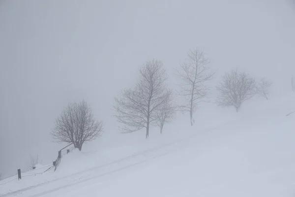 Foggy Winter Landscape Grossarl Austria — Stock Photo, Image