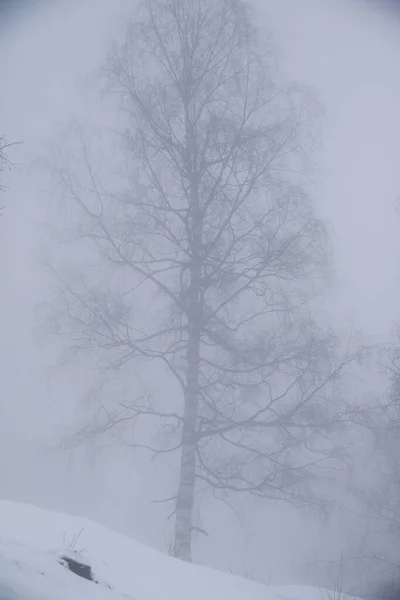 Foggy Winter Landscape Grossarl Austria — Stock Photo, Image