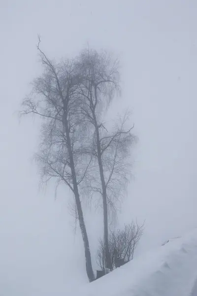 Paesaggio Invernale Nebbioso Grossarl Austria — Foto Stock