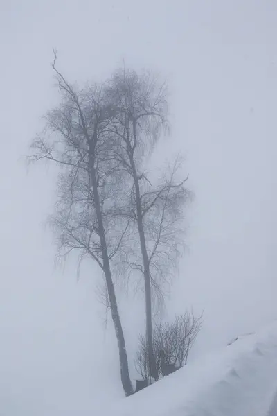 Foggy Winter Landscape Grossarl Austria — Stock Photo, Image