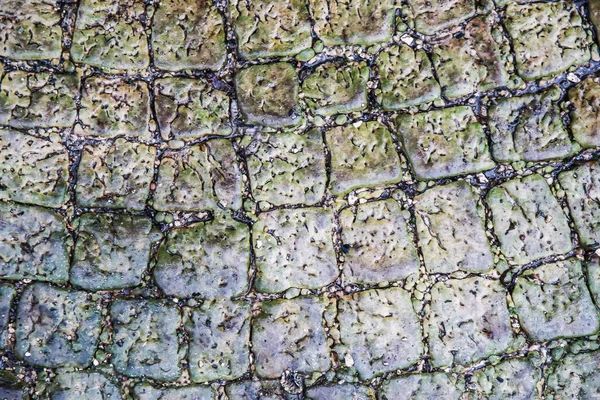 Cobblestone Pavement Texture Abstract Background Design — Stock Photo, Image