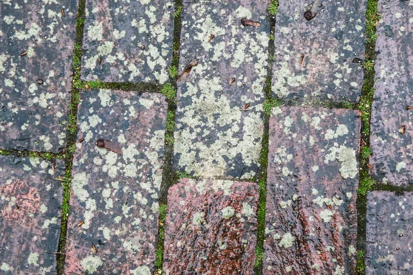 Cobblestone Pavement Texture Abstract Background Design — Φωτογραφία Αρχείου