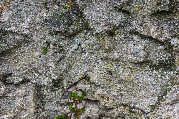 Textura Pavimento Cobblestone Fundo Abstrato Para Projeto — Fotografia de Stock