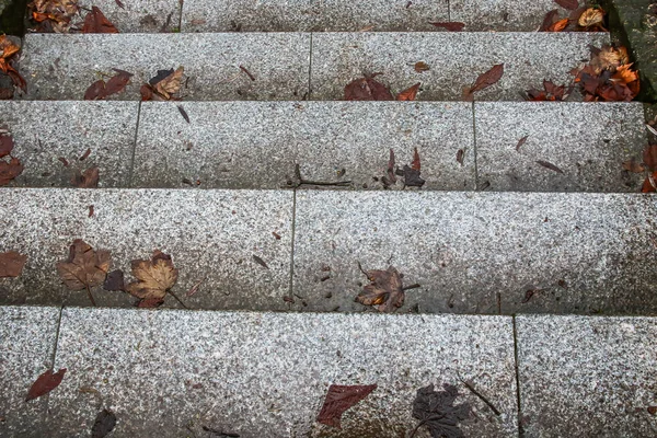 Herbstrostiges Laub Auf Betontreppen — Stockfoto