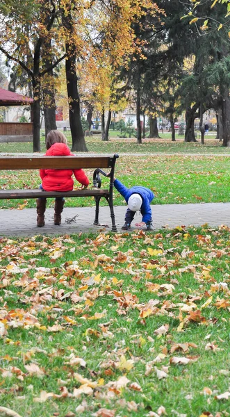 Barn Som Leker Parken — Stockfoto