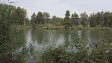 Almanya, Regensburg yakınlarındaki Tuna Nehri manzarası