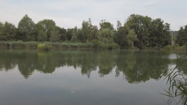 Τοπίο Του Ποταμού Δούναβη Κοντά Στο Regensburg Γερμανία — Αρχείο Βίντεο