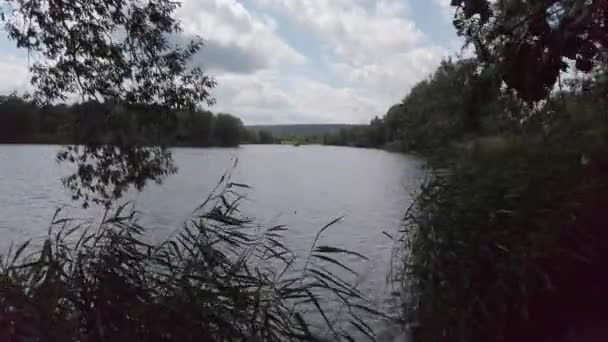 Τοπίο Του Ποταμού Δούναβη Κοντά Στο Regensburg Γερμανία — Αρχείο Βίντεο