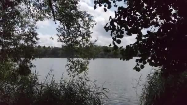 Paisagem Fluvial Danúbio Perto Regensburg Alemanha — Vídeo de Stock