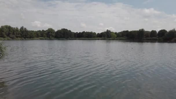 Paisagem Fluvial Danúbio Perto Regensburg Alemanha — Vídeo de Stock