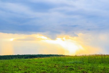 Mavi gökyüzü ve fırtınalı bulutlarla yeşil alan manzarası.