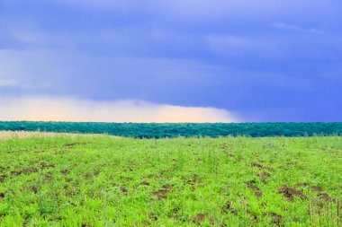 Mavi gökyüzü ve fırtınalı bulutlarla yeşil alan manzarası.