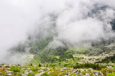 Sisli bir günde dağ ilkbahar manzarası