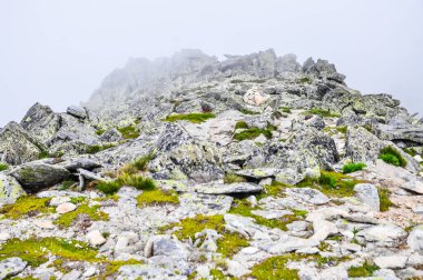 Sisli bir günde dağ ilkbahar manzarası