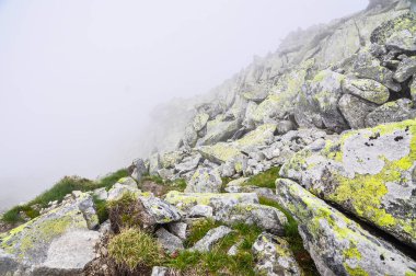 Sisli bir günde dağ ilkbahar manzarası