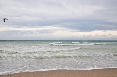 Okyanus manzarası. deniz dalgaları