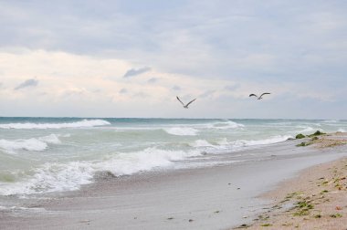 Okyanus manzarası. deniz dalgaları