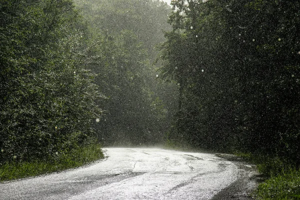 heavy rain on the street in the woods